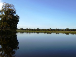 ??????????????????????